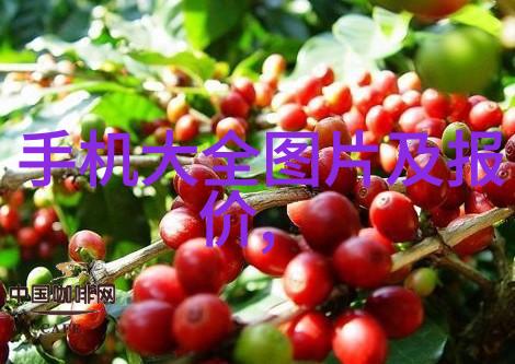 物流设备的日常从货架到搬运车故事里的小小英雄们