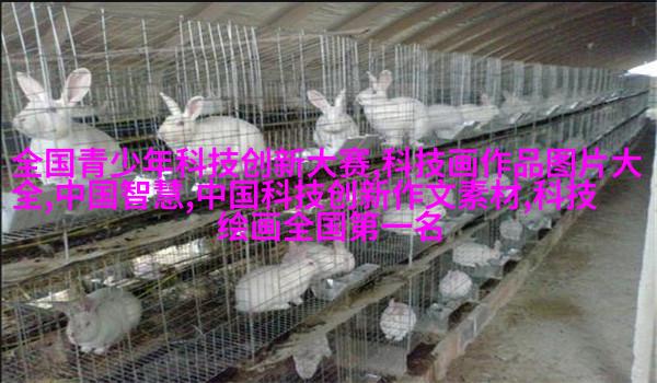 变速杆帽盖