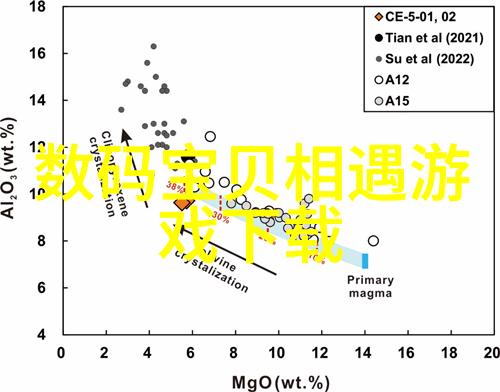 规整填料的环形布局与应用实践探究