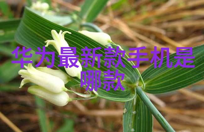 金华职业技术学院铸就未来技能的殿堂