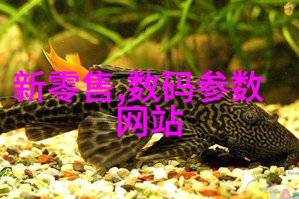 卫生间装修公司接单指南