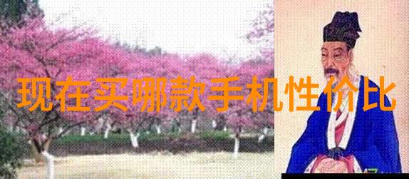 中式韵律2021年新中式装修效果图大师展