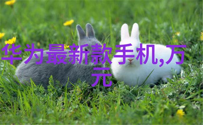 化工的基石原料之谜解析
