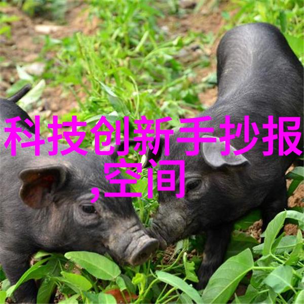 5G影院盛世运动罗志祥带动多人互动新体验
