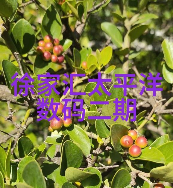 大型中药提取浓缩设备我是怎么见识到那些超级巨大的中药浓缩机的
