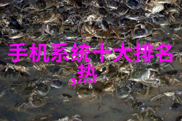 我死后的第二十年 - 遗忘与回忆的交响曲