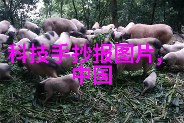 进门见客厅隔断效果图创意空间分割的艺术与实用