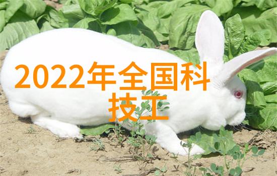 工业废气净化技术的最新进展环保设备的创新与应用
