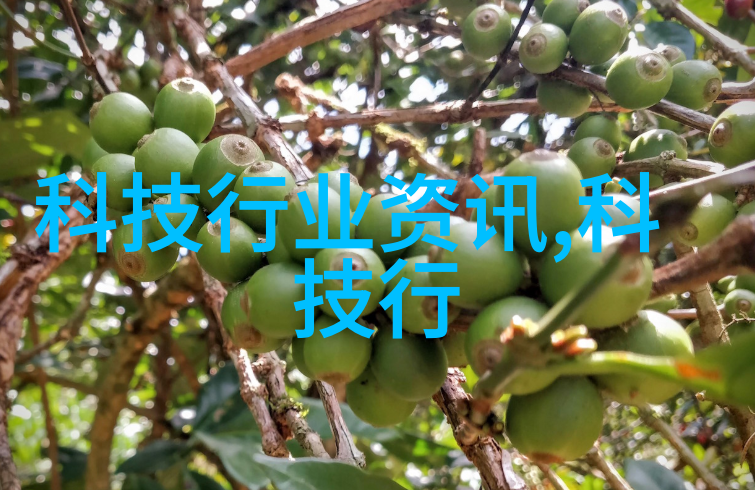 室内装修指南从墙面到地板的完美布局