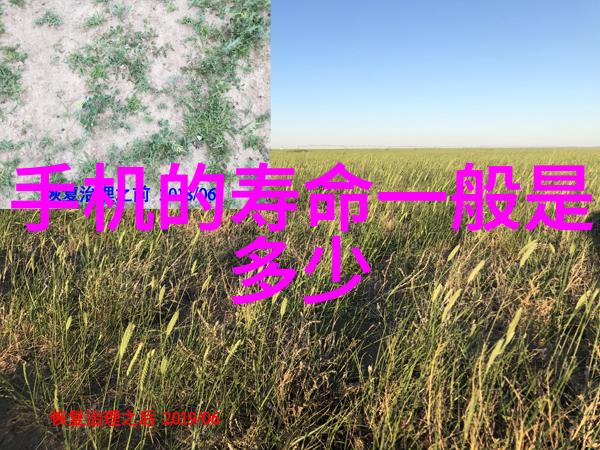厕所装修防水攻略让卫生间成为家居的亮点