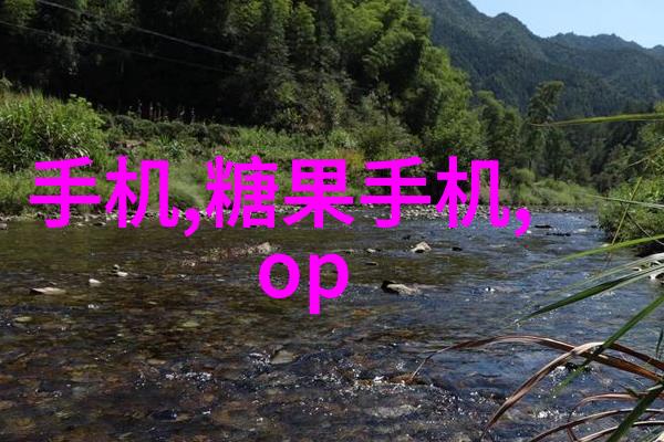 食用菌最先进装袋机革命性技术革新提升食品加工效率与安全标准