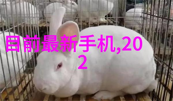 镀锌钢管价格波动背后的经济因素是什么