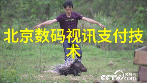 生活电器新闻资讯华为云的沃土云创计划宠儿般地投资1亿美元为伙伴们铺开一片生机勃勃的赋能之地