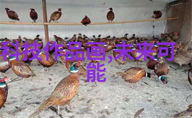 昏嫁TXT新浪背后的真相与爱的重生