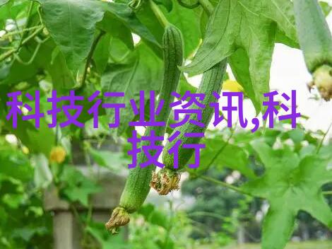 汽车文化-V8成品人的狂野追梦