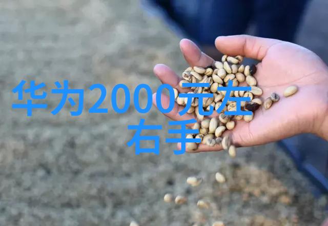 水电安装工程投标文件的基本内容与要求
