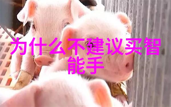机电设备安装老张的千里马项目