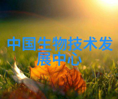 绿色环保与高效生产附近不锈钢厂家的双重奏鸣