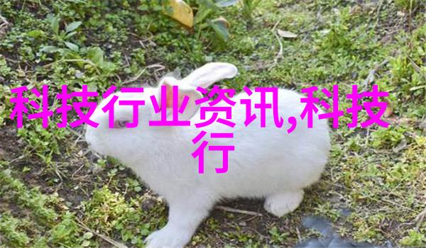 卫生间门口美化小技巧如何选择合适的屏风图片