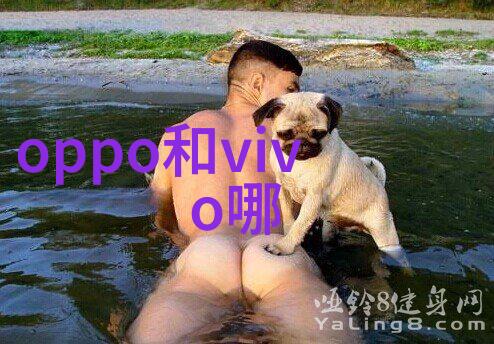 北京智网之光未来交通的智能化探索