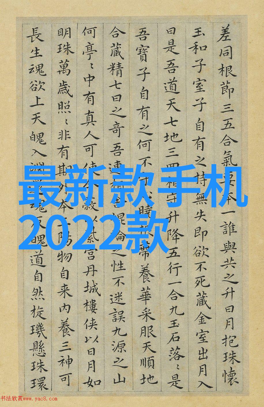 西瓜新品种我家院子里的甜蜜革命尝鲜最新的超级水果