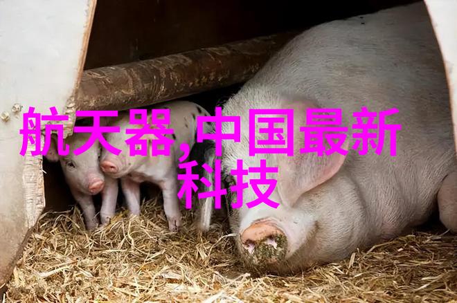 小技巧防止不锈钢水龙頭和喷頭生铁病的方法