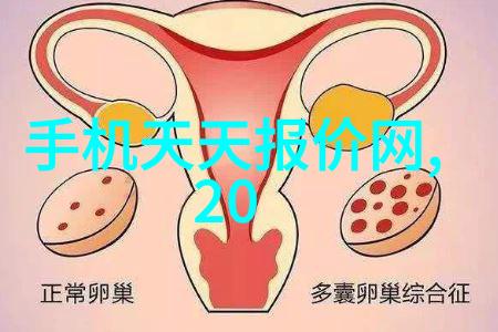 湖南现代物流职业技术学院物流管理与运输专业教育