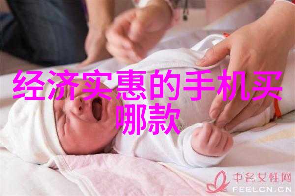 30平方米一居室空间优化设计策略研究