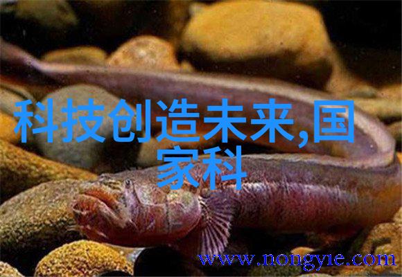 玻璃雨棚安装前需要考虑哪些因素