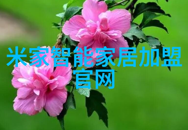 贮存设备让我轻松搞定家里的一切