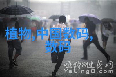 三全食品中国传统面食的代表