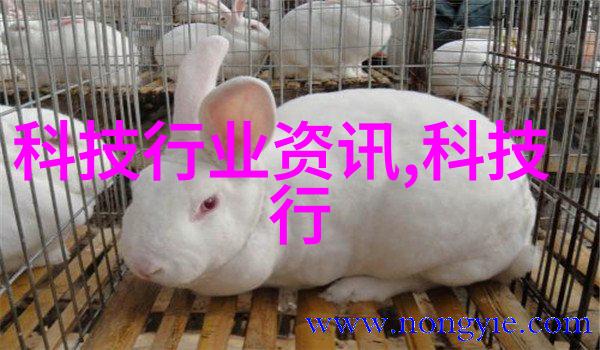信用家装修网我是怎么在信用家装修网上找到理想设计师的