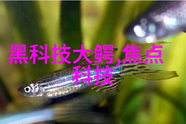 中国不锈钢制品生产基地我在这里见证了不锈钢的辉煌