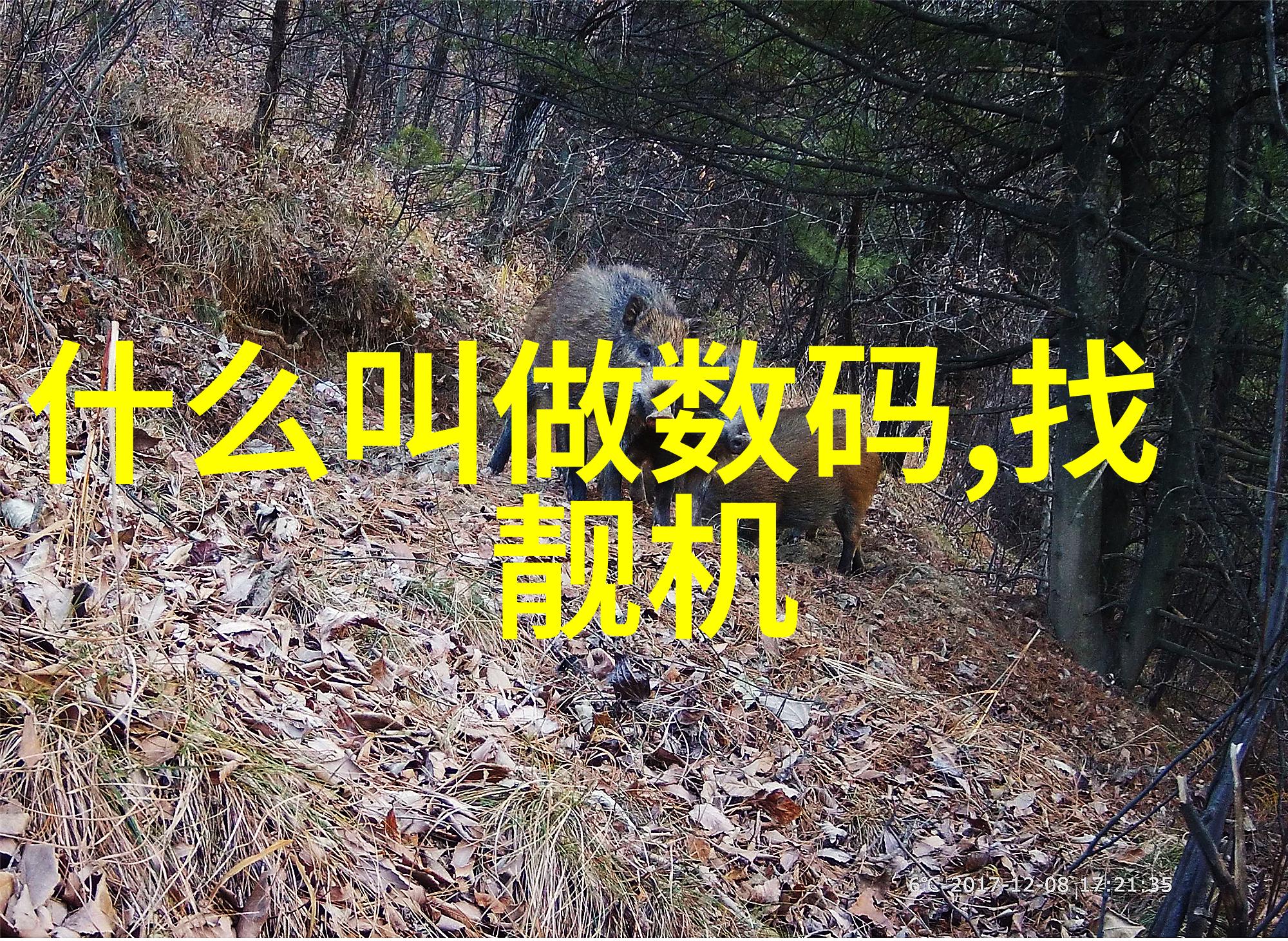 丝接管件精密制造的丝接件