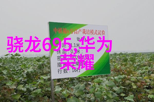 真实案例分析哪些行业最早采用了真空包装食品以提升安全性他们采取了什么样的策略和技术改进措施呢