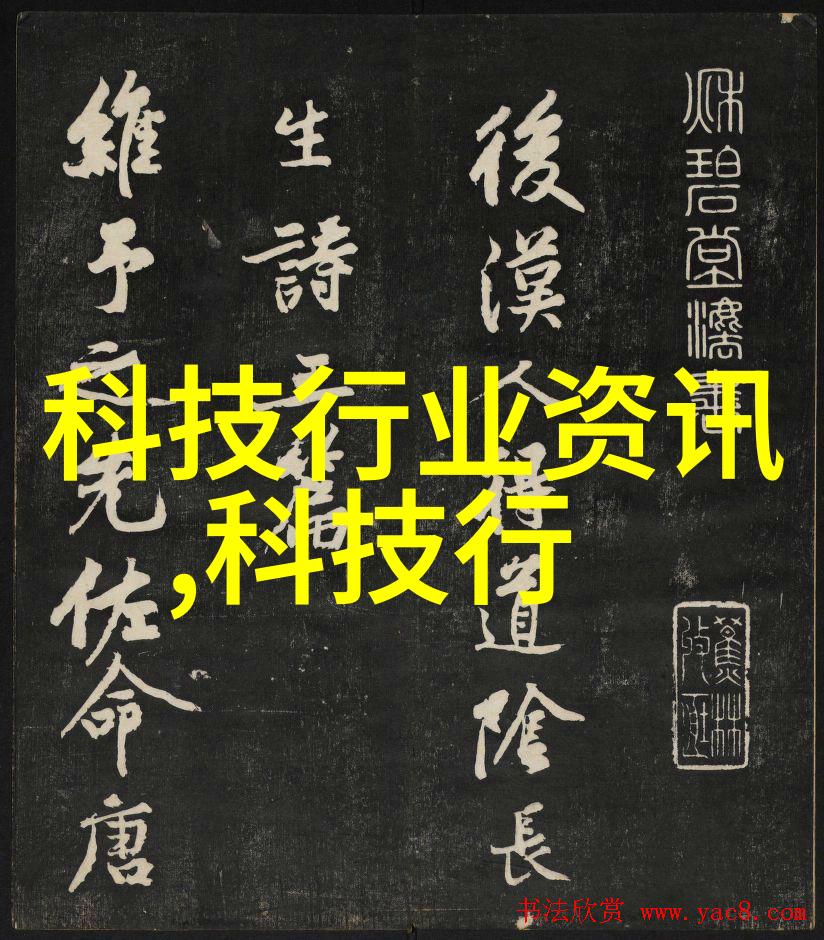丸剂机械-探讨现代丸剂机械技术的创新与应用