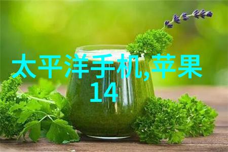 Apple Watch SE评测性价比高的选择吗