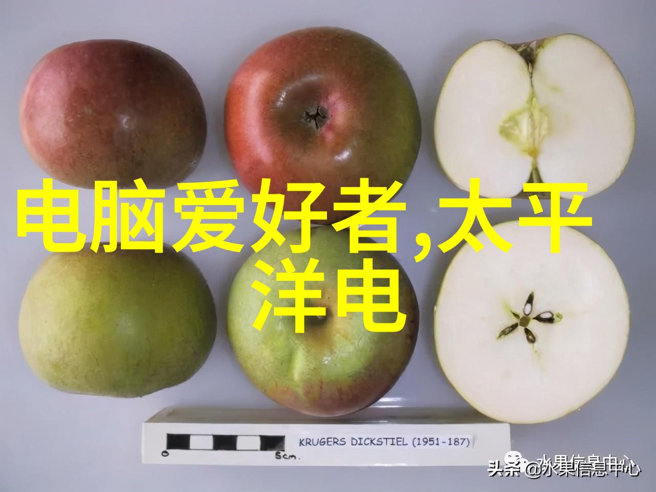 确保供应链安全性全球碳酸镍市场竞争格局