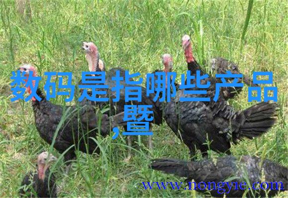 超高速离心机-高效分离技术的尖端之选
