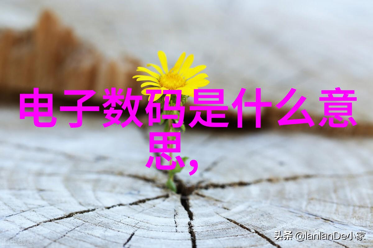 重生一黑道女王-逆袭之黑道女王的崛起