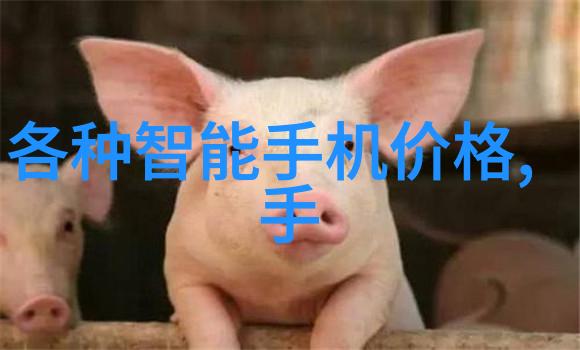 地板安装木地板石材瓷砖选型及施工指南