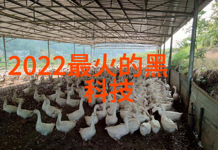 调整到最佳水分测定仪的设置技巧有哪些