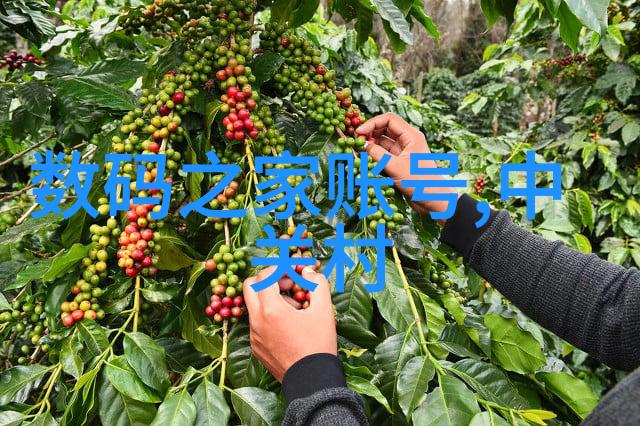 装修好的客厅图片大全我来给你看看这些超级美的客厅装修案例