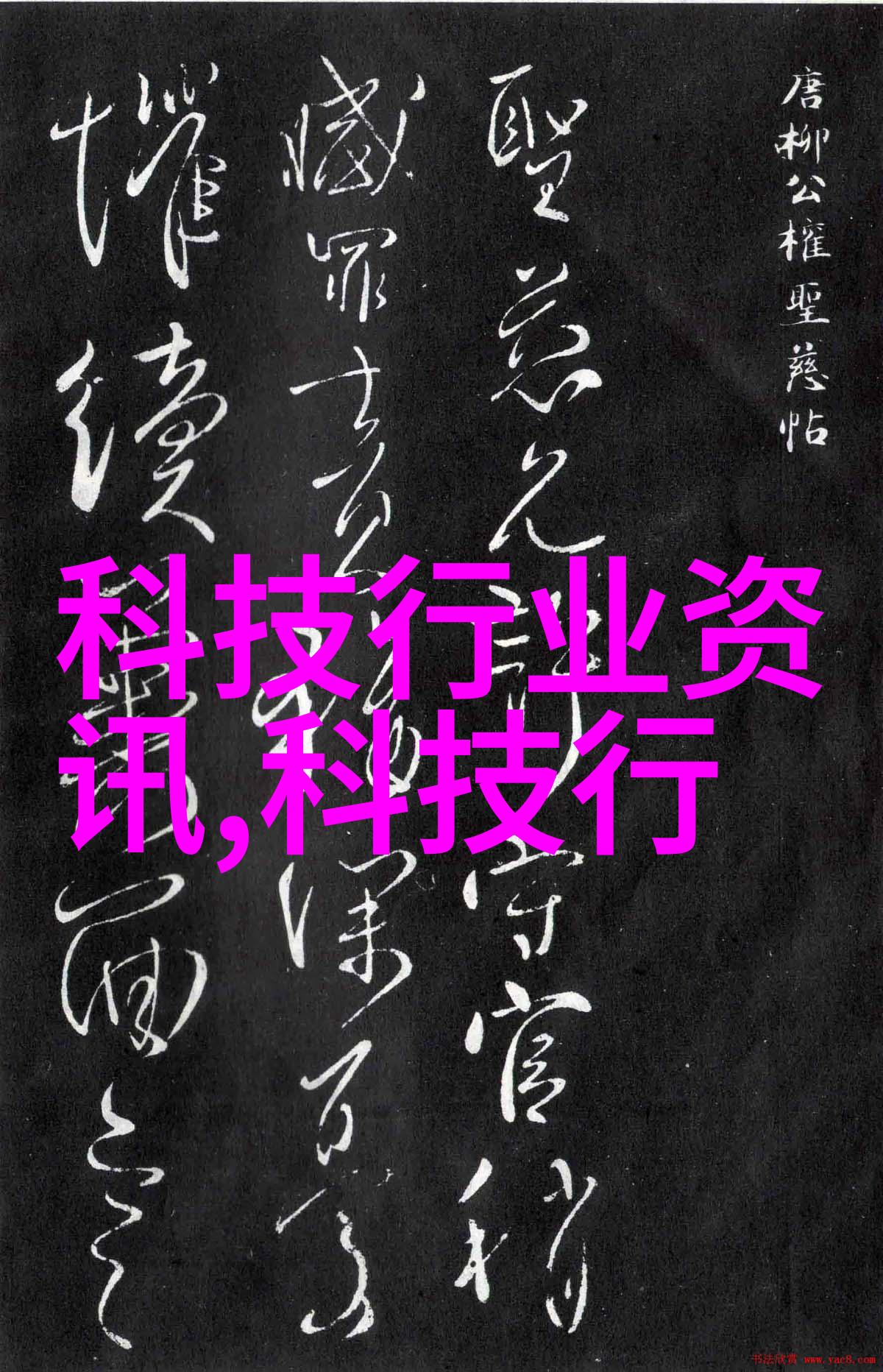 不锈钢陶瓷填料铸就耐久的承诺