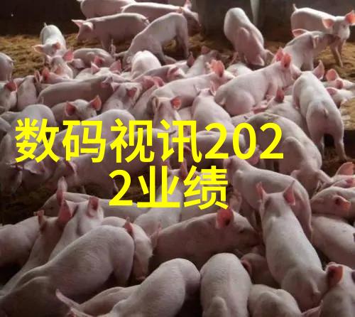 皮带输送机如何处理多种类型和大小的物料或产品呢