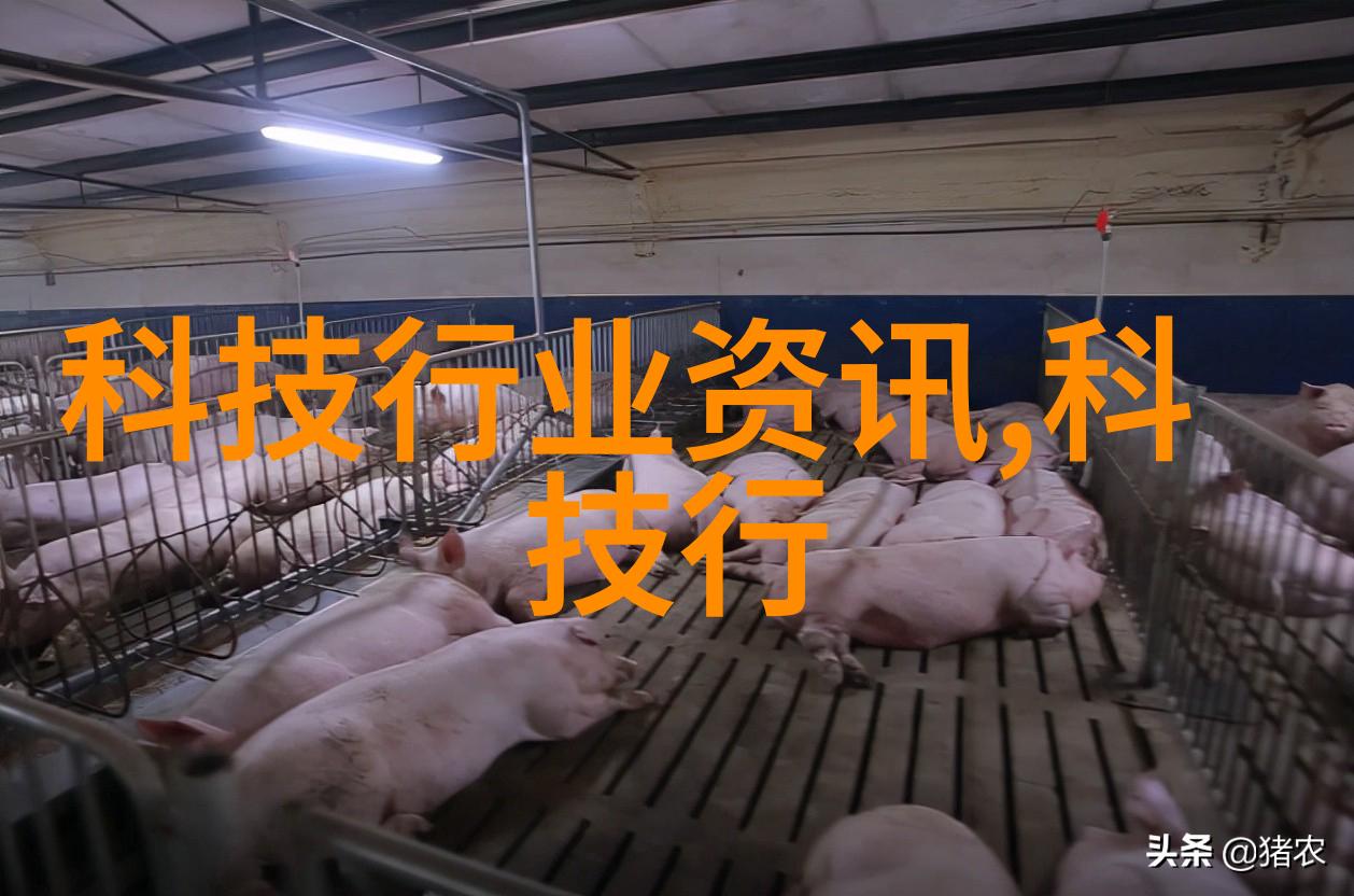 在国际化策略中新市场的重要性有多大