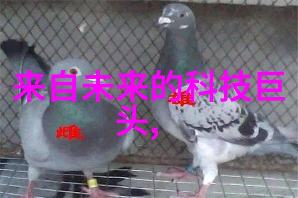 丝网孔隙率揭秘细节的幽默隐患