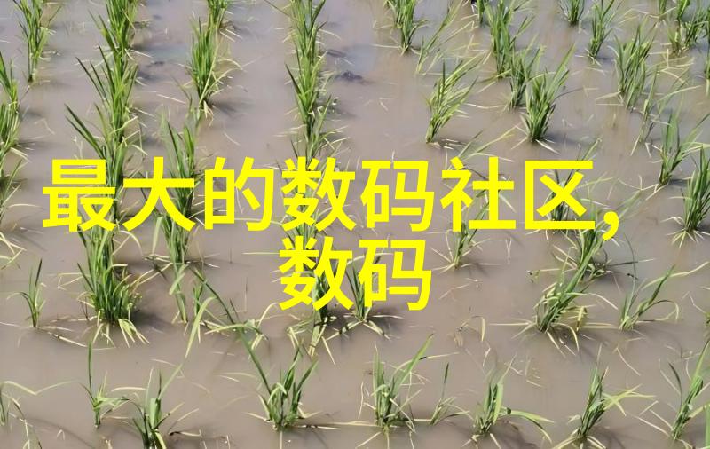 重塑新貌创意装修改造的艺术
