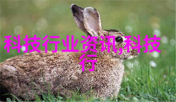 消毒之谜揭开灭菌设备验证的神秘面纱