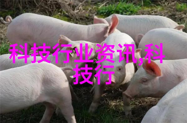 探索不同风格下的不锈钢家居饰品图片欣赏